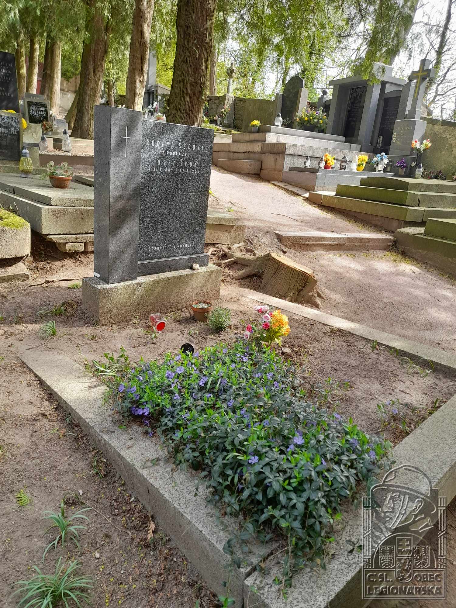 Hrob v Chocni (102205.800)