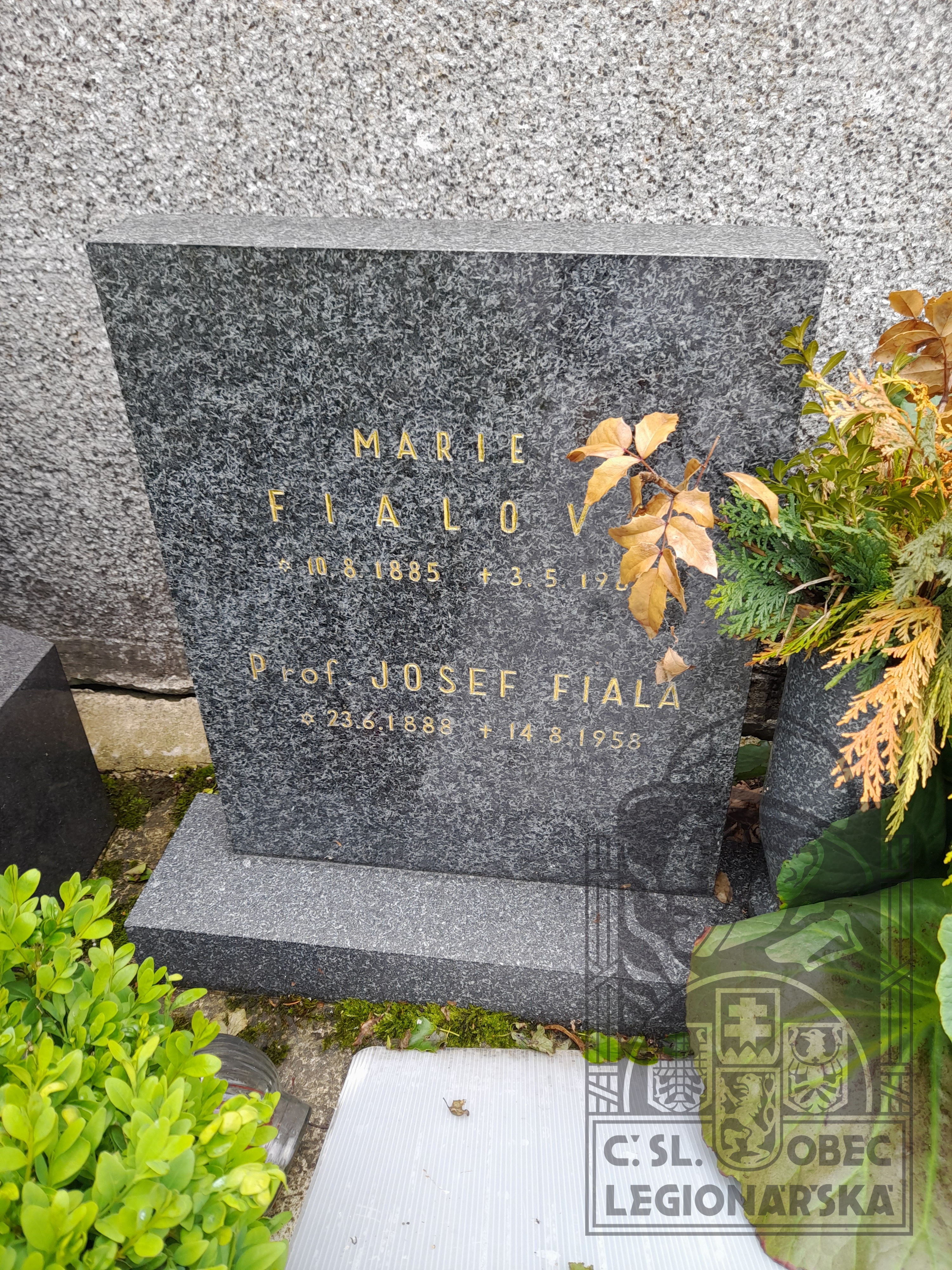 Hrob katolický hřbitov Olešnice (10389.800)