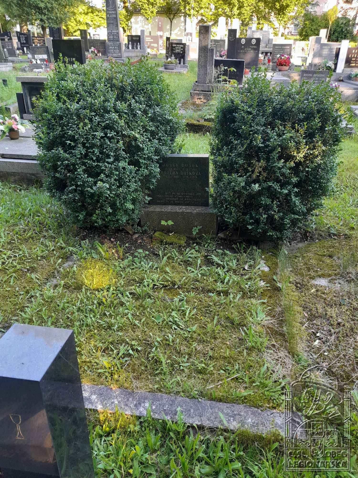 Hrob v Horní Čermné (20648.800)