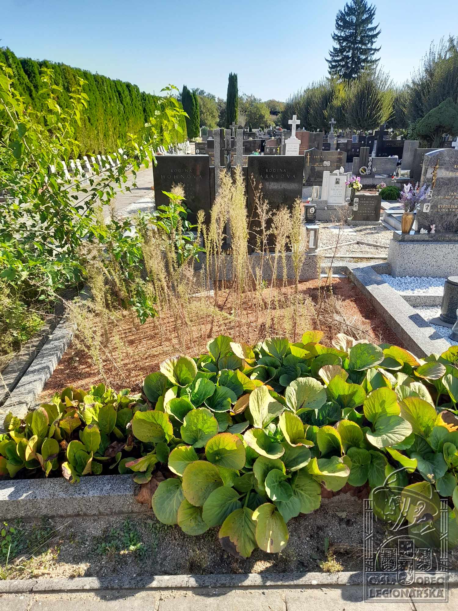 Hrob v Rajhradu (23988.800)