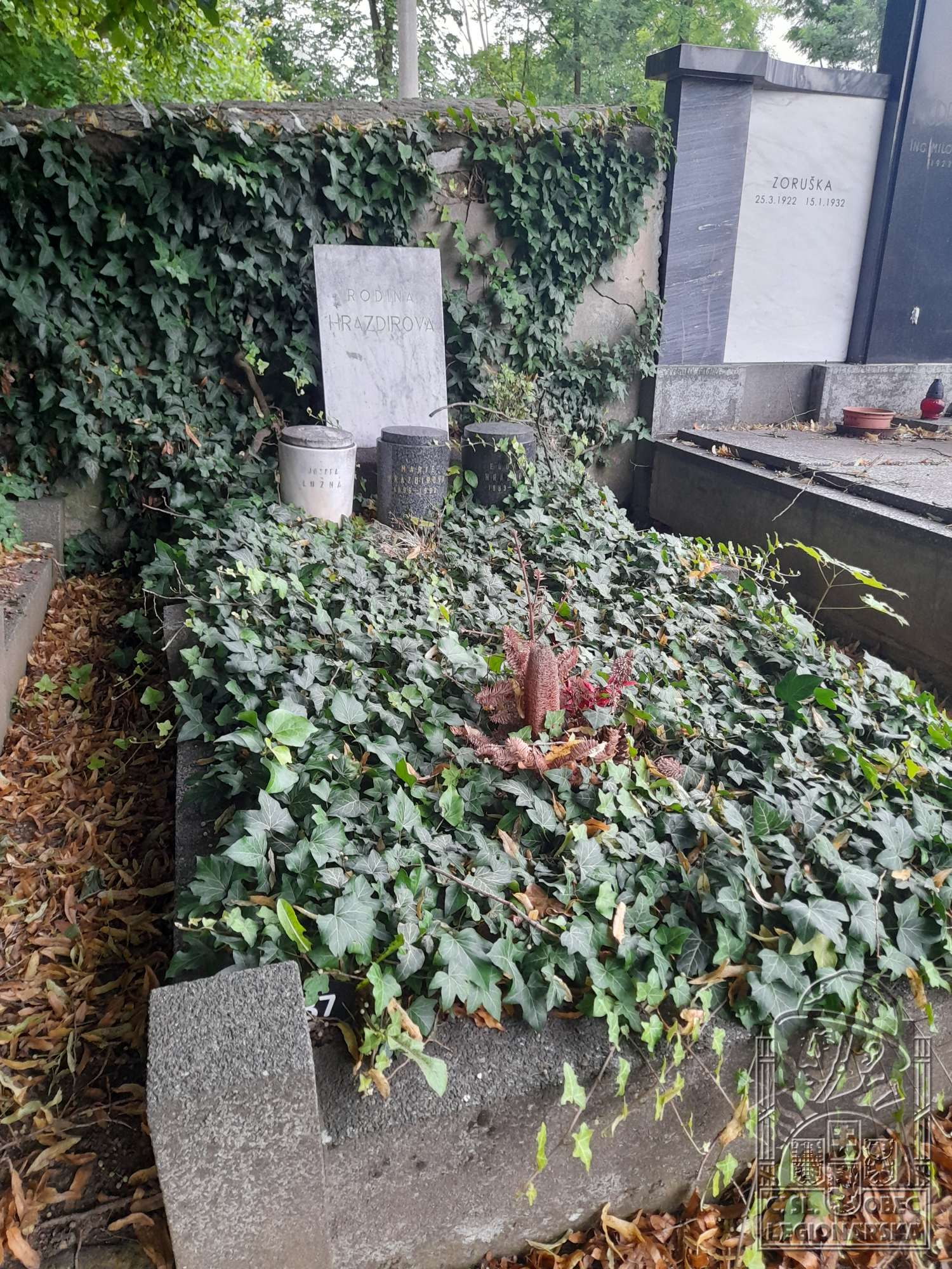 Hrob v Rájci-Jestřebí (24825.800)