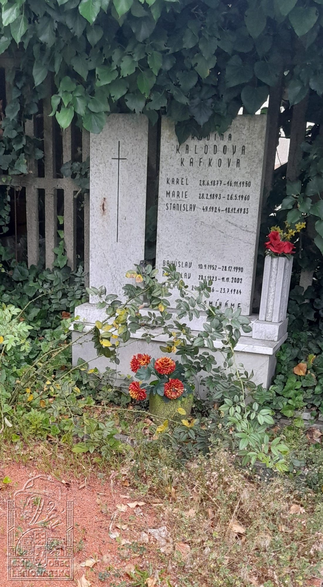 Hrob v Bílovivích nad Svitavou (36812.500)