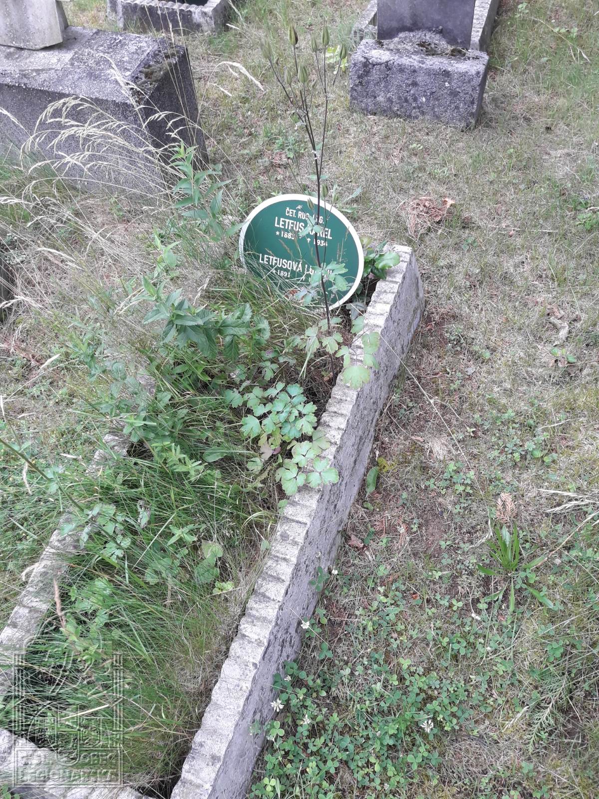 Hrob Leftuse Karla na Ústřední hřbitov Brno (56374.501)